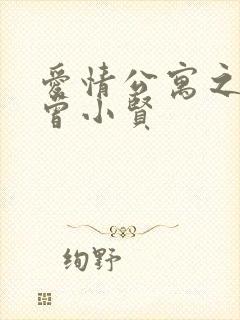 爱情公寓之极品曾小贤