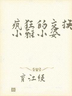 疯狂的交换小静小雅小姿