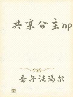共享公主npc