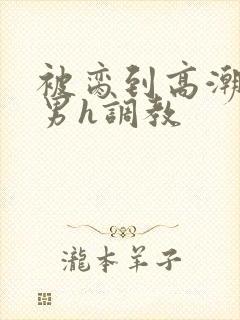 被脔到高潮的直男h调教