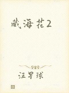 藏海花2