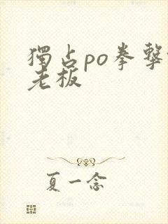 独占po拳击馆老板