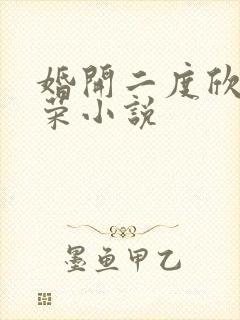 婚开二度欣欣向荣小说