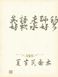 英语老师的兔子好软水好多