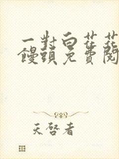 一对白花花的大馒头免费阅读