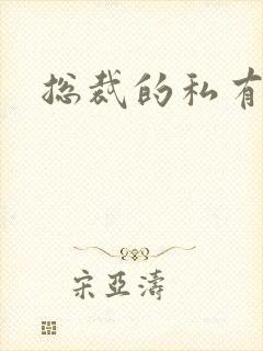 总裁的私有宝贝