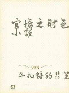 官场之财色诱人小说