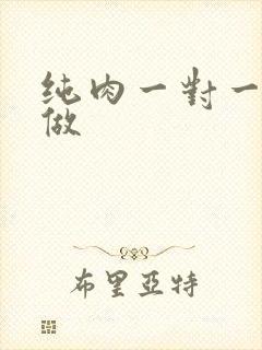 纯肉一对一到处做