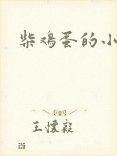 柴鸡蛋的小说