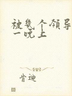 被几个领导玩弄一晚上