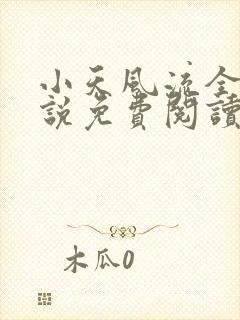 小天风流全集小说免费阅读