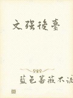 文强后台