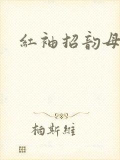 红袖招韵母攻略