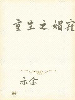 重生之媚宠系统