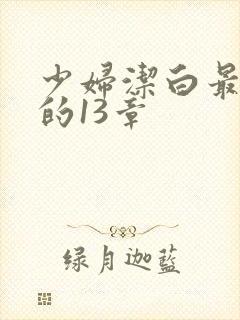 少妇洁白最刺激的13章