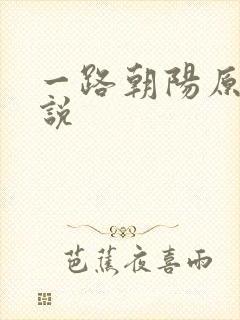 一路朝阳原著小说