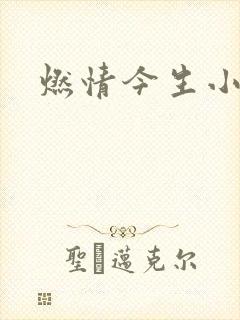 燃情今生小说