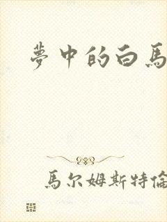 梦中的白马