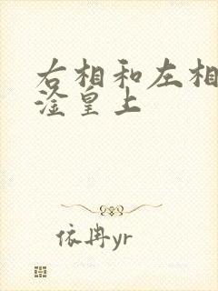 右相和左相一起淦皇上