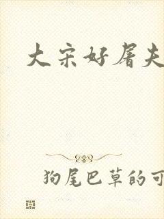 大宋好屠夫