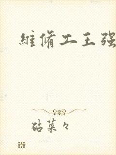 维修工王强张婷