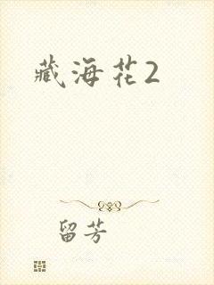藏海花2