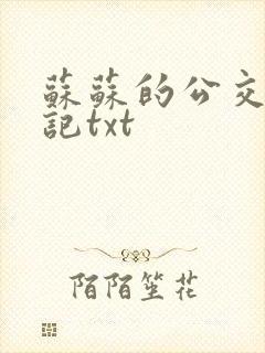 苏苏的公交车日记txt