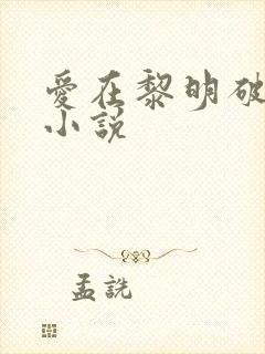 爱在黎明破晓前小说