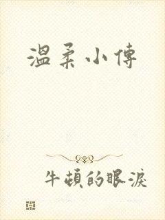 温柔小传