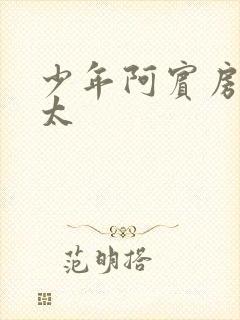 少年阿宾房东太太