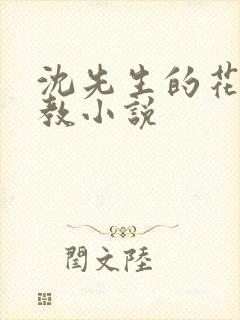 沈先生的花式调教小说