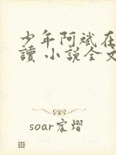 少年阿斌在线阅读 小说全文免费
