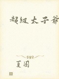 超级太子爷