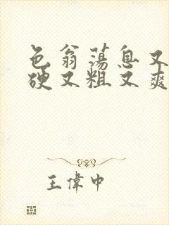 色翁荡息又大又硬又粗又爽电影