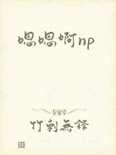嗯嗯啊np
