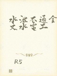 水泄不通金银原文水电工