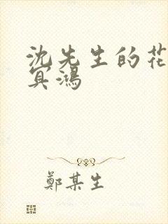 沈先生的花式调冥鸿