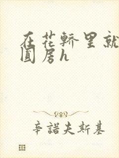 在花轿里就开始圆房h