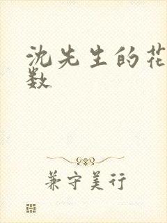 沈先生的花式调数