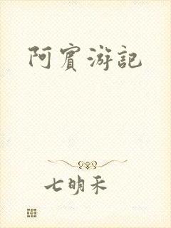 阿宾游记