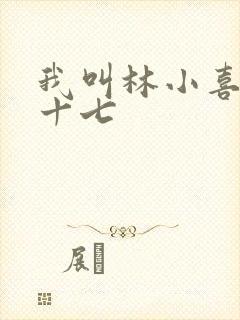 我叫林小喜今年十七