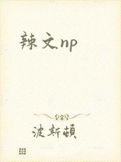 辣文np