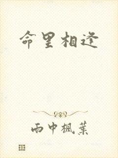 命里相逢