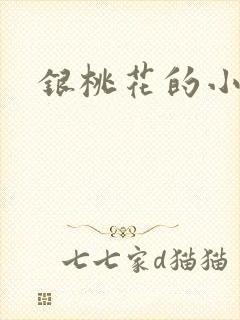 银桃花的小说