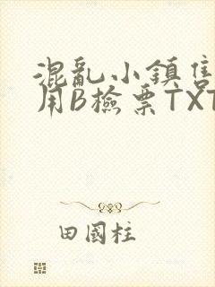 混乱小镇售票员用B检票TXT