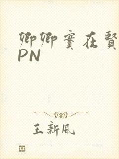 卿卿实在贤良NPN