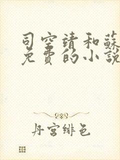 司空靖和苏月汐免费的小说笔趣阁