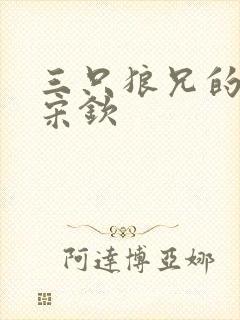 三只狼兄的宠妻宋钦