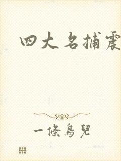 四大名捕震关东