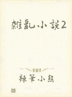 杂乱小说2